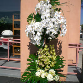Tall orchid arrangement with white and green blooms in a decorative container