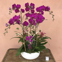 Purple orchid arrangement in a white bowl vase on a wooden table