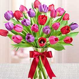 Bouquet of pink, red, and purple tulips in a glass vase with a red ribbon