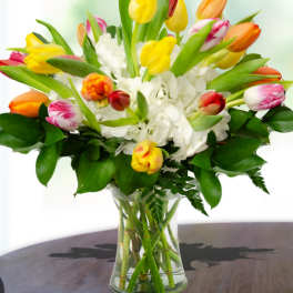 Bouquet of multicolored tulips and white hydrangeas in a clear glass vase