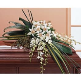 White orchid arrangement on a casket with long dark leaves