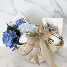 Hydrangea Bundle