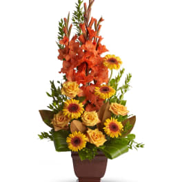 Teleflora's Sentimental Dreams