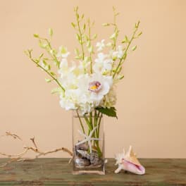 White orchid arrangement in a clear glass vase with shells on a table