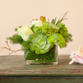 Green succulent arrangement in a square glass vase with white blooms