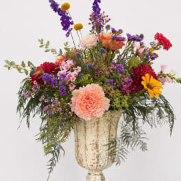 Sprig Brights Designers Choice