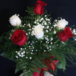 Bouquet of red and white roses with baby's breath