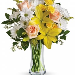 Teleflora's Daisies and Sunbeams