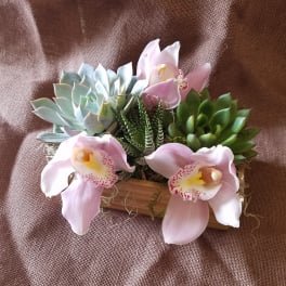 Succulent arrangement with pink orchid blooms in a wooden container