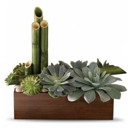 Succulent arrangement in a wooden box with bamboo stalks