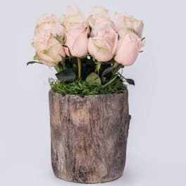 Pale pink roses arranged in a rustic wooden container