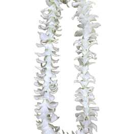Single White Orchid Lei