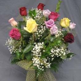 Colorful Dozen Roses V01