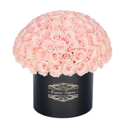 100 Pink Everlasting Roses - Black Signature Box