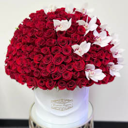 Grand Red Roses Signature Box with Cymbidium Orchids