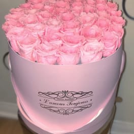 Round pink hat box filled with tightly packed light pink roses