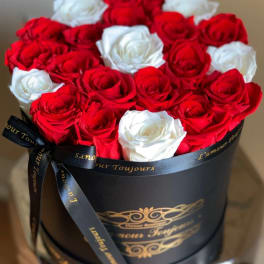 Red and white roses arranged in a black round box with a ribbon bow