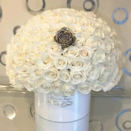 Round hatbox arrangement of many ivory roses with a single metallic gold rose accent.