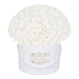 White rose arrangement in a round white box