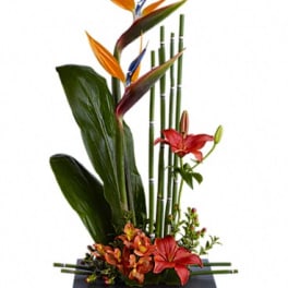 Tall tropical flower arrangement with orange bird-of-paradise and red lilies in a black vase