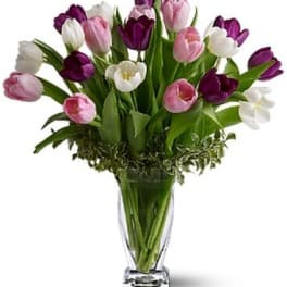 Bouquet of pink, purple, and white tulips in a clear glass vase