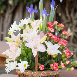Basket of mixed flowers with lilies, irises, daisies, and carnations