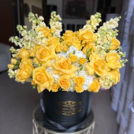 Round black hatbox of yellow roses with white hydrangeas and creamy stock flowers