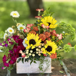 Mixed bouquet in a white wooden box with sunflowers and roses