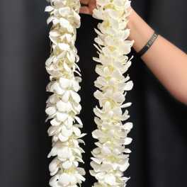 WHITE ORCHID LEI