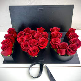 Red roses arranged in a black presentation box with a ribbon