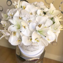 Round white hatbox filled with white orchids and lilies on a metallic pedestal stand