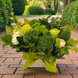Green and white floral arrangement in a square box with a ribbon