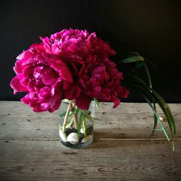 Peony Gathering (colors vary)