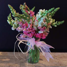 Bouquet of pink and white snapdragons in a glass vase with ribbon