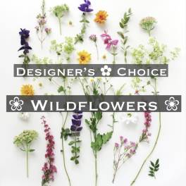 Wildflower stems arranged on a white background with designer's choice text