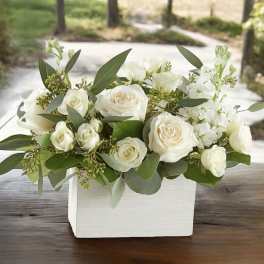 White roses arranged in a white rectangular box with greenery