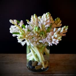 White hyacinth stems arranged in a clear glass vase with river stones on a wooden surface