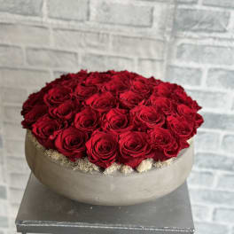 Round arrangement of red roses in a low gray bowl
