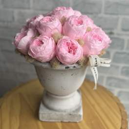 Pink roses arranged in a white pedestal vase with a ribbon bow