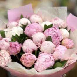 Bouquet of pink and white peonies wrapped in pink paper