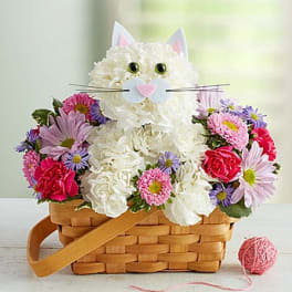 Flower basket arranged as a cat face with pink and white blooms