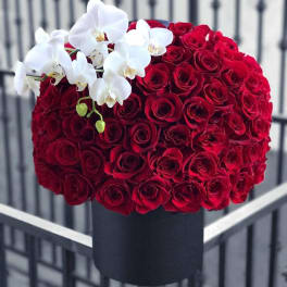 Red rose arrangement with white orchids in a black box