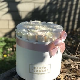 White roses in a round box with a pink ribbon