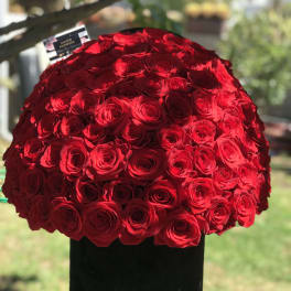 Large dome of red roses in a black hatbox