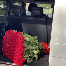 Large bouquet of red roses in the back of a vehicle