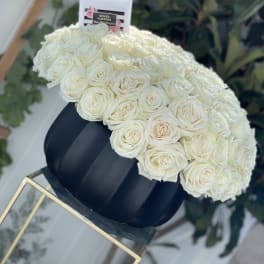 Large dome of white roses in a black hat box