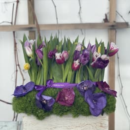 Purple and pink tulips with orchids in a rectangular planter