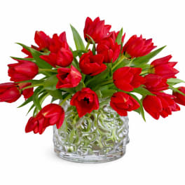 Red Tulips in a Vase | Same Day Flower Delivery in Miami