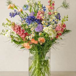 DESIGNERS CHOICE - SEASONS BEST