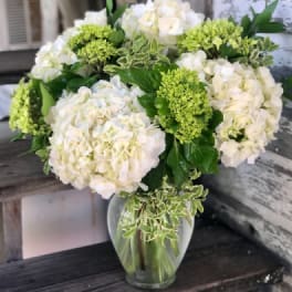 White hydrangea bouquet with green blooms in a clear glass vase